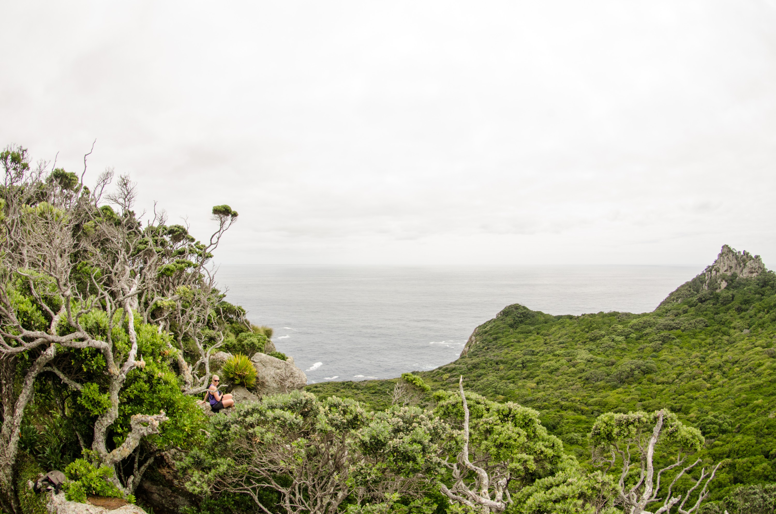 DSC_5934 – Poor, knights, aorangi, island, islands, Crispin, NZ, new, new zealand, zealand